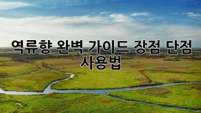 역류향 완벽 가이드: 장점, 단점, 사용법