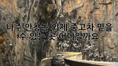 나주 안창동 외제 중고차, 믿을 수 있는 곳 어디일까요?