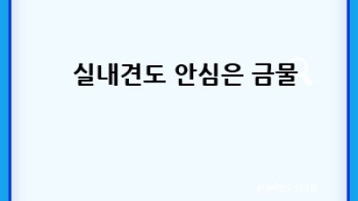 🐶🐾 강아지 심장사상충 걱정 끝! 궁금증 해결 QA